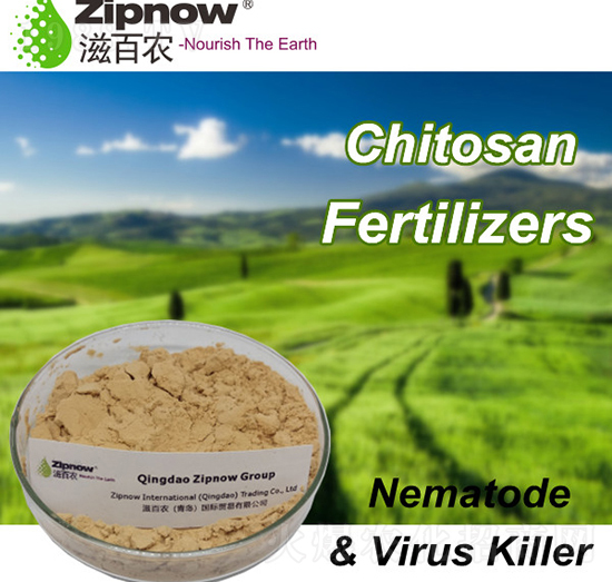 �����Ƿ��ϣ����x�Ͳ�����-�̰��r