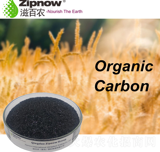 �ЙC̼-�̰��r