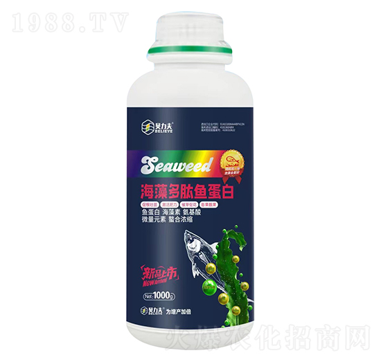 1000g��������~����-ؐ����-� ��S