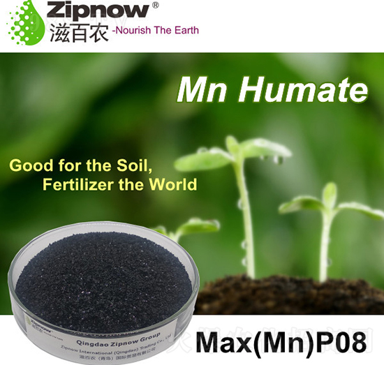 �i��ֲ���}-�̰��r