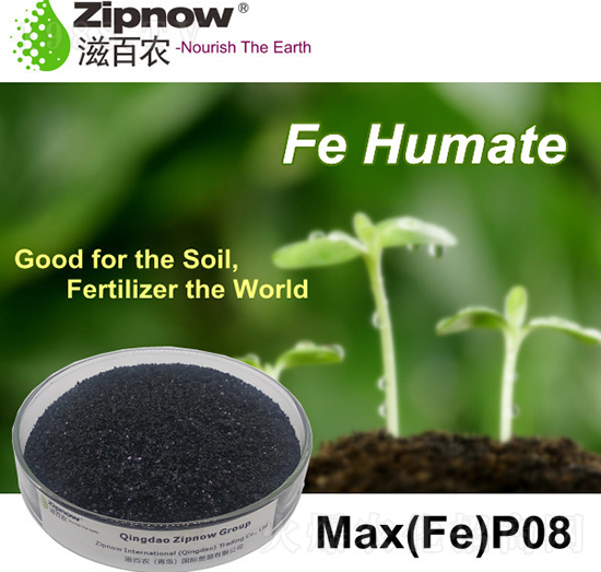 ��ֲ��-�̰��r