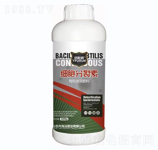 ��(x��)��������-һ������(l��i)