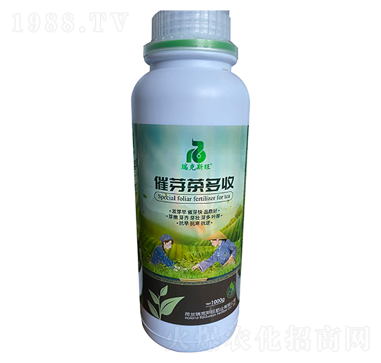 ��ѿ�����-���˹��