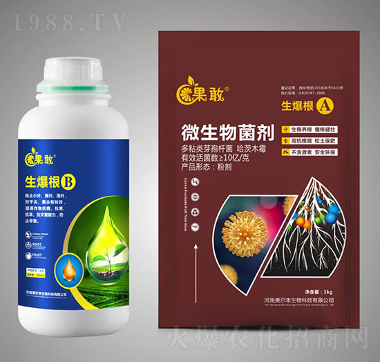 ������A+B-����-����������