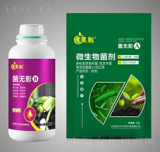 ���oӰA+B-����-����������