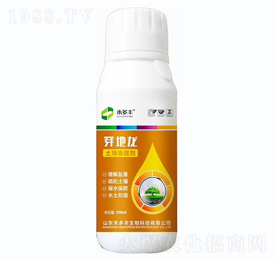 �������ф�-������-�̶��S