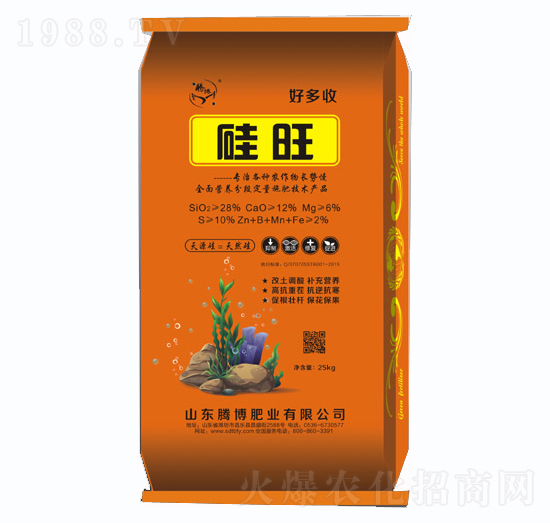 ����-�v���ʘI(y��)