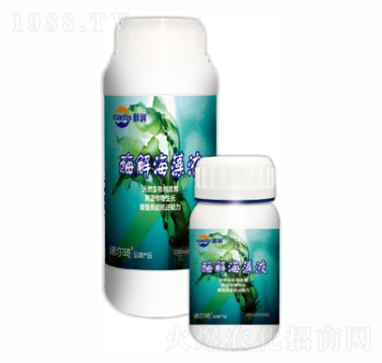 ø�⺣��Һ-�Z����