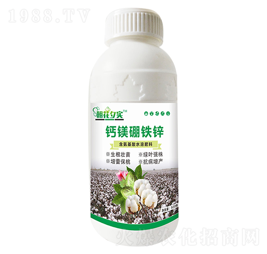 �}�V���F�\-����Ϧ��-�����r�I(y��)