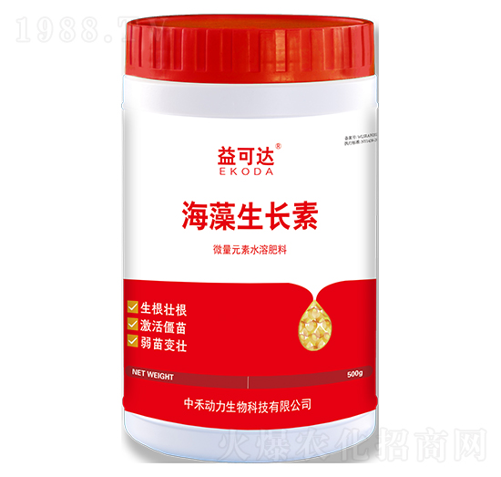 �������L(zh��ng)��-����_(d��)-�к̄�(d��ng)��