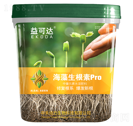 ����������pro-����_(d��)-�к̄���