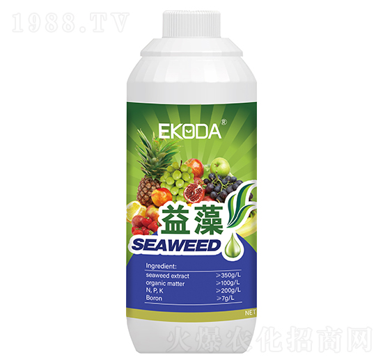 ����-����_-�к̄���