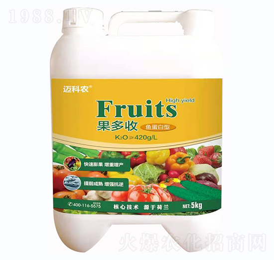 �~������-������-�~���r(n��ng)-�Έ�����