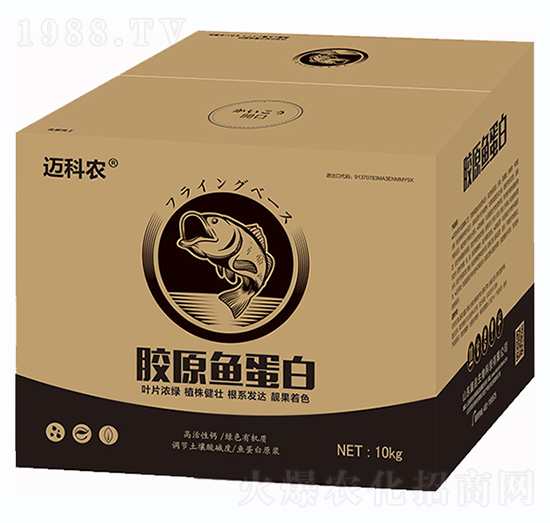 �zԭ�~(y��)����-�~���r(n��ng)-�Έ�����