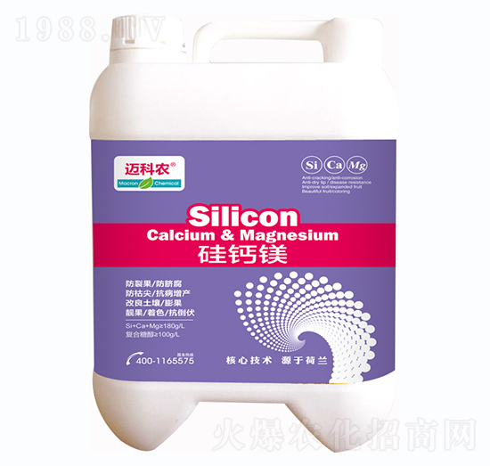 ���}�V-�~���r(n��ng)-�Έ�����