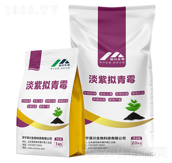 ���ϔM��ù-�ɴ�����