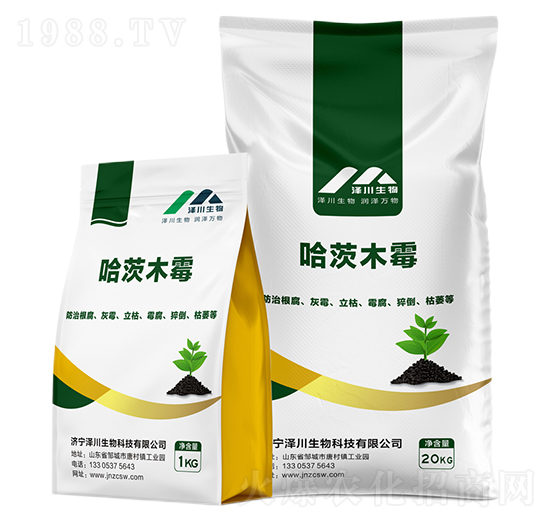 ����ľù-�ɴ�����