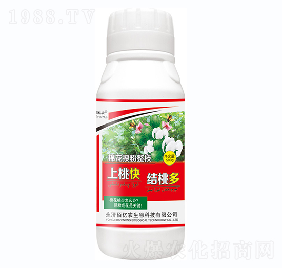 ���ҿ�Y(ji��)�Ҷ�-�����S