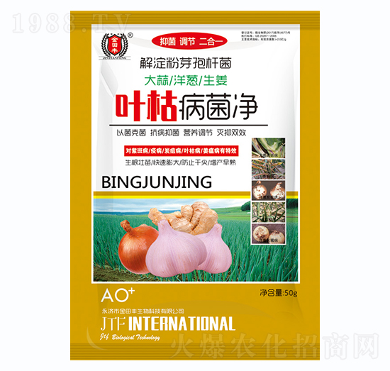 ���������[������-�~�ݲ�����-�����S