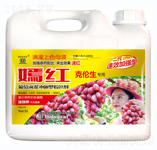 �˂�������-�̼t-�����S