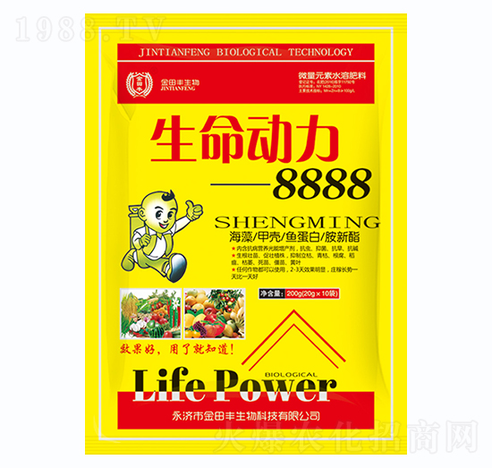 ��������8888-�����S