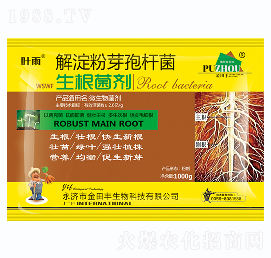 �����ѿ�ߗU��-��������-�����S