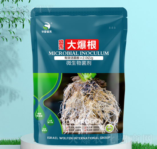 ΢�������-�󱬸�-ʢ��