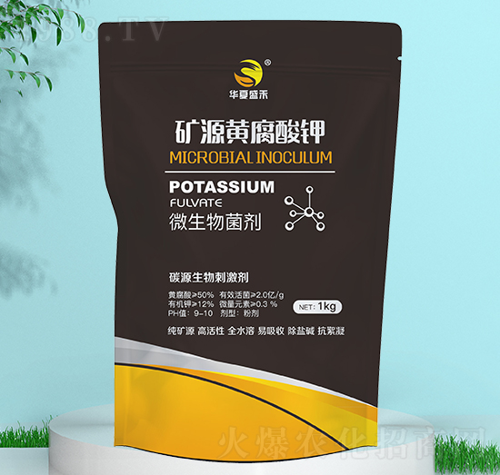 �VԴ�S�����-ʢ��