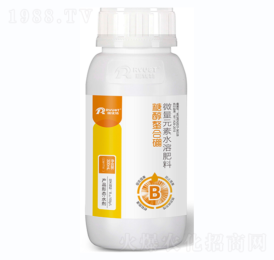 300ml�Ǵ�������-����(y��u)��