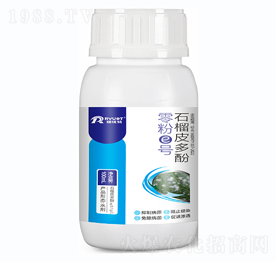 100ml���e̖(h��o)-����(y��u)��