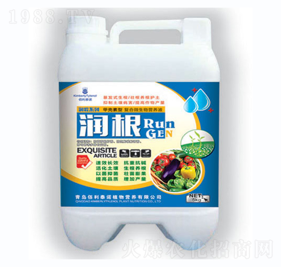 ����-�G�؈@