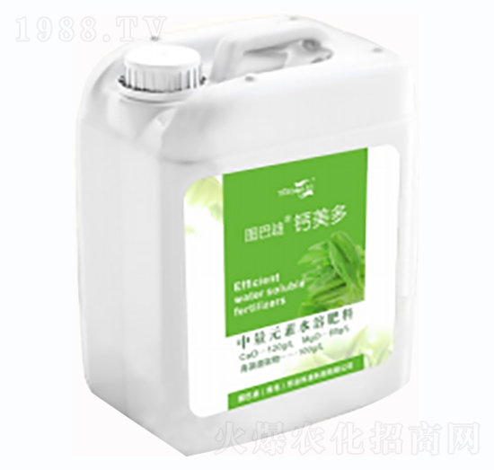 �}�V��-�D�͵�