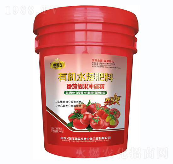 �����n���_ʩ��-�Wِ��-�����f��