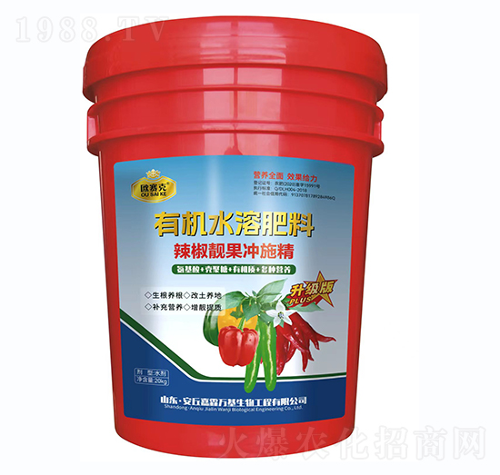 �����n���_ʩ��-�Wِ��-�����f(w��n)��