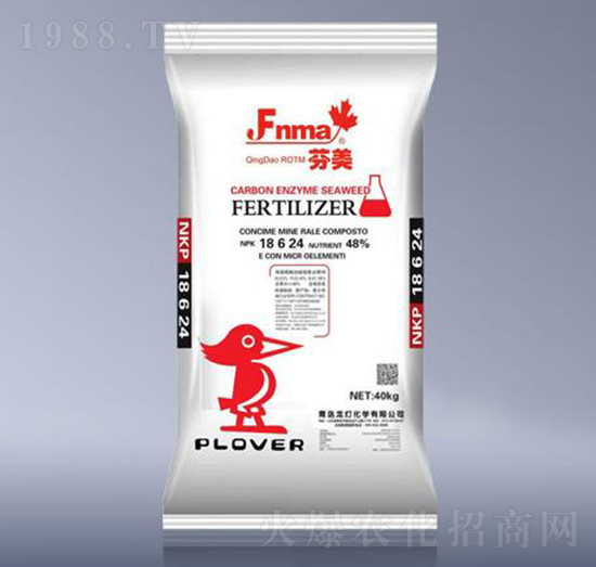 �����ͺϷ���18-6-24-����-����