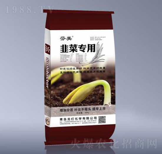 �²ˌ���-����-����