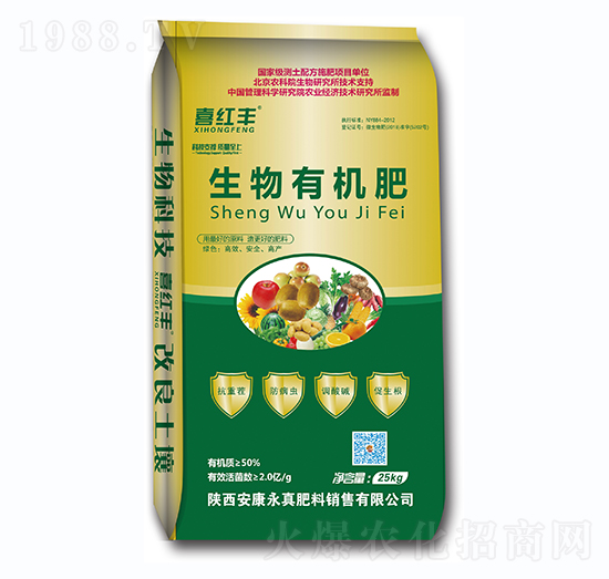 �����ЙC��-ϲ�t�S-���r��