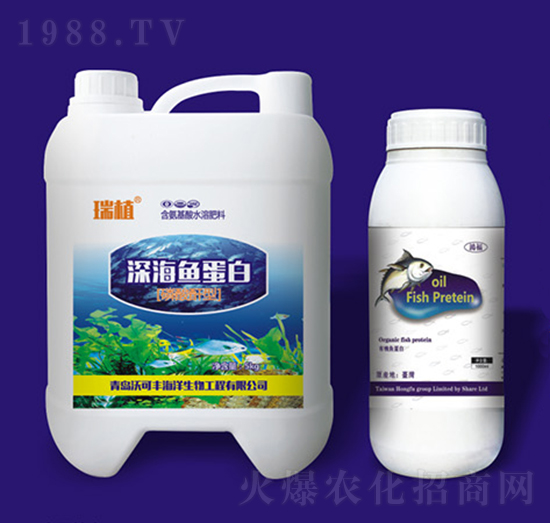 ��~����-�ֿ��S