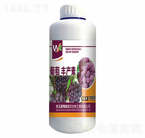 �����S�a��-�ֿ��S