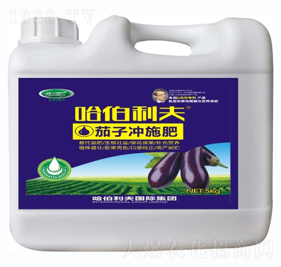 ���ӌ��Û_ʩ��-��������