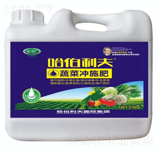 �߲ˌ��Û_ʩ��-��������