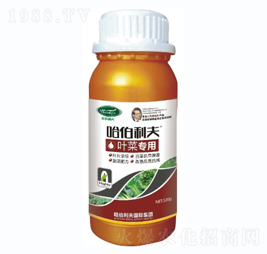 �~�ˌ���-��������