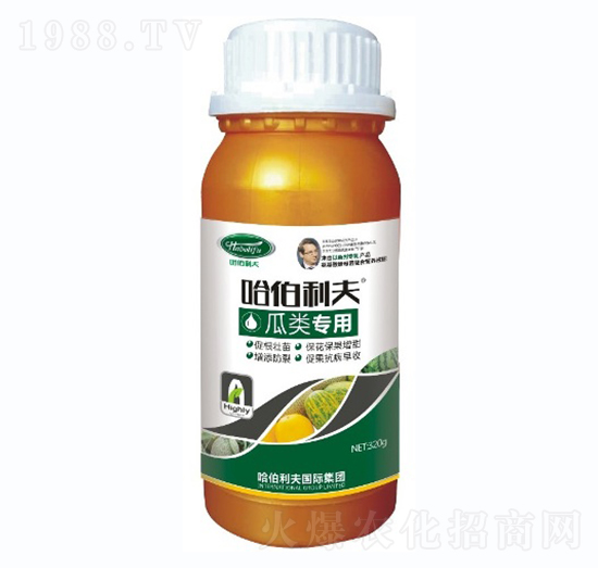 �����-��������