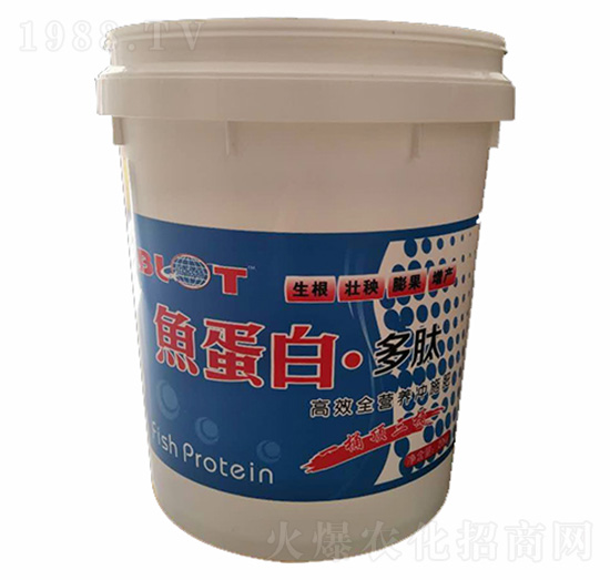 �~���׶���-������