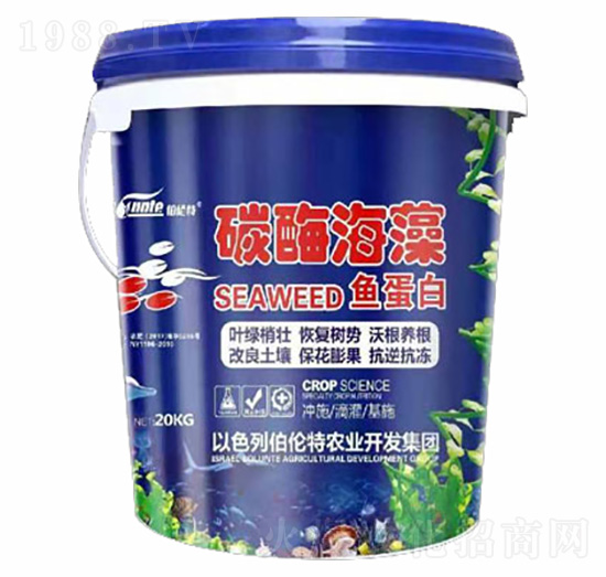 ̼ø�����~(y��)����-������