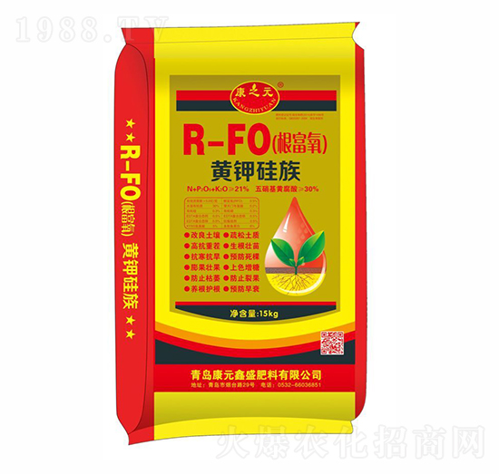 �ʼҹ���-��Ԫ��ʢ