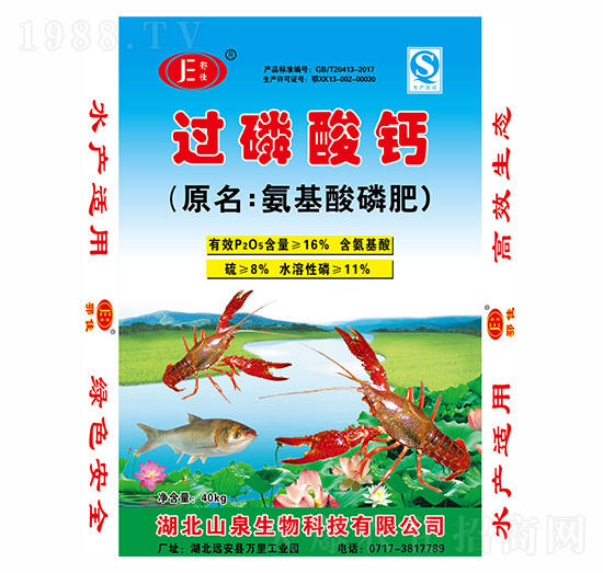 �������׷�-����-���{���B(t��i)