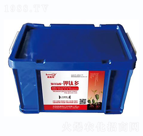 �۹Ȱ���-�⁶�-������