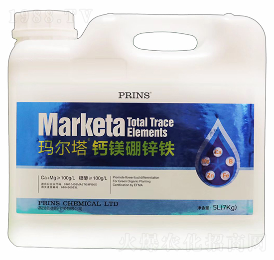 �������}�V���\�F-Ӣ��(gu��)����˹