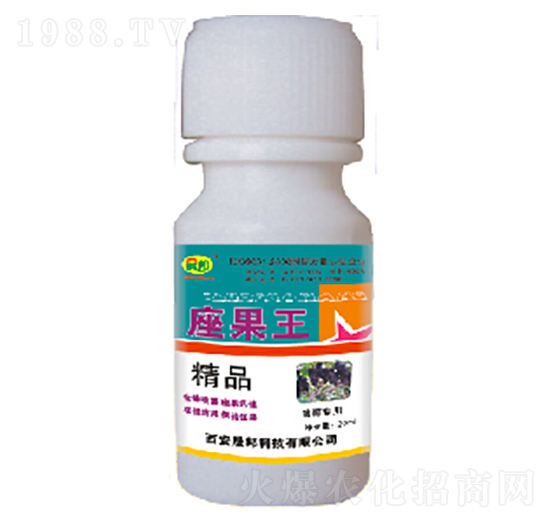 ���ь���-������-�ɰ�����